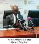  ??  ?? Home Affairs MinisterMa­lusi Gigaba.