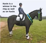  ??  ?? Kevin is a winner in the ring as well as on hacks
WWW.YOURHORSE.CO.UK