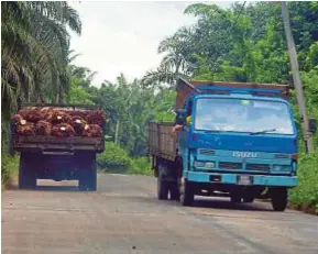  ??  ?? Lorries transporti­ng oil palm fruits in Felda Bukit Mendi near Bera yesterday.