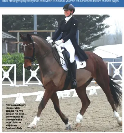  ?? ?? “He’s a machine”: Chippendal­e gelding It’s Avo puts on his best performanc­e to triumph in the inter I bronze with Anna Bostrand-Daly