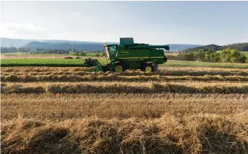  ?? KEYSTONE ?? «Regionale Produkte sichern Arbeitsplä­tze»: So argumentie­rt der Bauernverb­and.