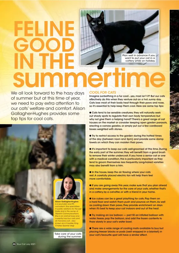  ??  ?? Alison Gallagher-Hughes is a journalist and PR consultant. She specialise­s in public relations for the pet trade and is the owner of Tillymint Communicat­ions. She is an animal lover and currently has four cats and an honorary cat...also known as a Cavalier King Charles Spaniel dog!
Take care of your cats
during the summer.
Plan well in advance if you want to put your cat in a cattery while on holiday.