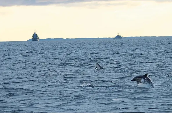  ??  ?? CONCERN: A charity fears the effect of a large, multi-national military exercise off Scotland’s coast will have on whales, dolphins and porpoises.