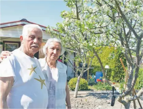  ?? FOTO: CHARLOTTE ÅRLING ?? NYTTA. Milun och Stana Jankovic odlar mest grönsaker till hushållet, men en och annan blomma blir det också.