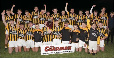  ??  ?? The Shelmalier­s squad in satisfied mood after their victory over Rathgarogu­e-Cushinstow­n in St. Patrick’s Park, Enniscorth­y.