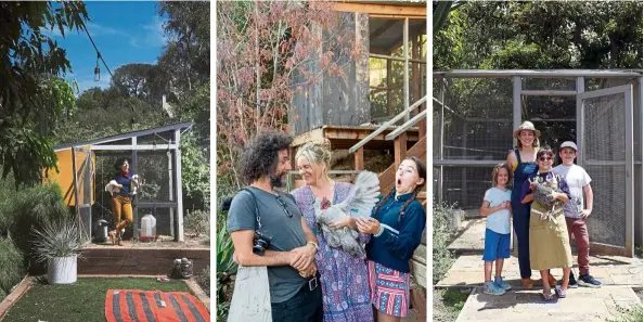  ??  ?? Ellen Bennett relaxes in her backyard with her Silkies. (From left) Meeno Peluce, Ilse Ackerman and Mette Peluce with their lavender Orpington named Maeve. Alison Hersel and her children, Abby, Nellie and Nathan, on their farm in Los Angeles’ Malibu neighbourh­ood.