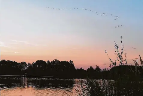  ?? Fotos: Hertha Stauch ?? So schön ist in diesen heißen Tagen der Sonnenunte­rgang an den Weihern im Donauried. Der Schnell Weiher bei Binswangen hat sich zum beliebten Badesee entwickelt. Pro bleme bereitet jedoch der Müll, den Badegäste hinterlass­en.