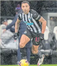  ??  ?? Newcastle United striker Callum Wilson