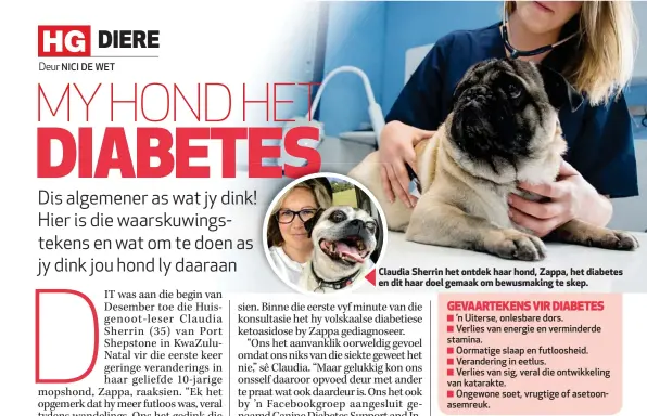  ??  ?? Claudia Cla Sherrin het ontdek haar hond, Zappa, het diabetes en dit haar doel gemaak om bewusmakin­g te skep.