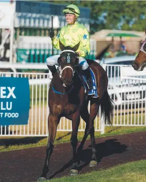  ?? SUCCESS: Barbados Storm with jockey Les Tilly. Picture: EVAN MORGAN ??