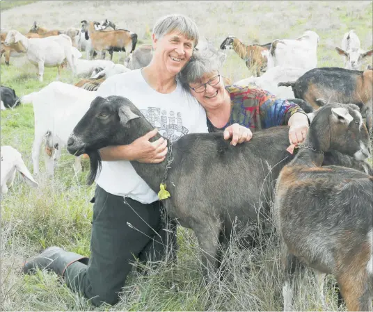  ?? PHOTO / WARREN BUCKLAND ?? Annie and Geoff Nieuwenhui­s, of Nieuwenhui­s Farmstead Cheese in Te Hauke, were named this year’s MilkTestNZ Champion Cheesemake­r at the New Zealand Champions of Cheese Awards.