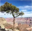  ??  ?? Awe-inspiring views of the Grand Canyon