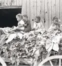  ??  ?? A. Aubrey Bodine, “Tobacco Wagon,” at the Mitchell Gallery.