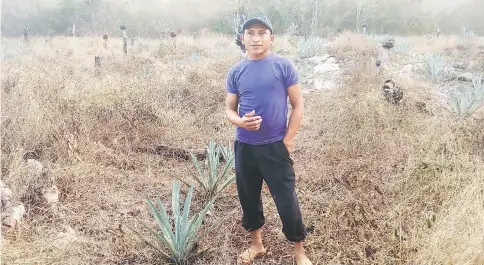  ??  ?? Luis Miguel, a Mayan farmer from Kimbilá, in the southeaste­rn state of Yucatán, Mexico, fears that the installati­on of a wind farm in his community will damage local crops of corn and vegetables. — IPS photo