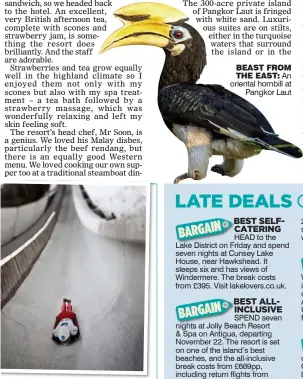  ??  ?? FAST LANE: The ice track at Igls BEAST FROM THE EAST: An oriental hornbill at Pangkor Laut