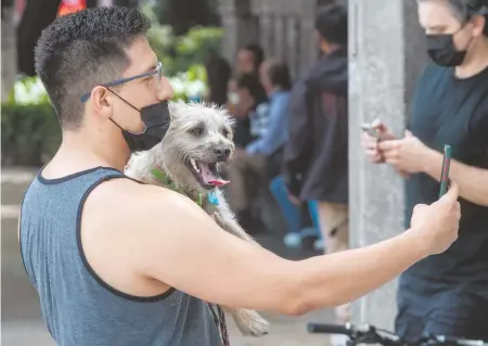  ?? MOISÉS PABLO ?? En países como Estados Unidos está prohibido tener perros de razas agresivas en ciertos apartament­os