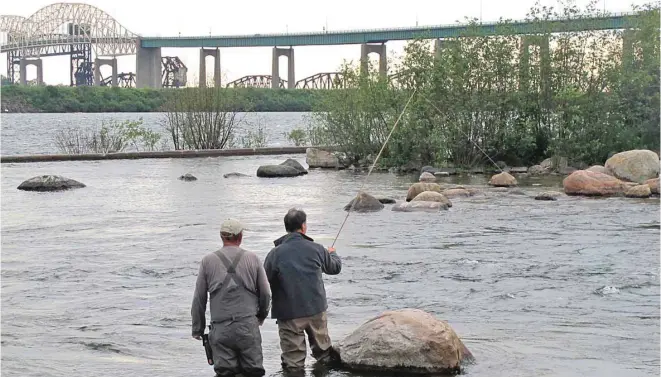  ?? LINDSEY ACKLAND ?? Notre journalist­e apprend les rudiments de la pêche à la mouche dans les rapides de Sault Ste. Marie, devant le pont qui mène aux États-Unis.