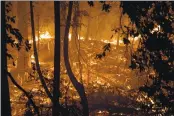  ?? DAI SUGANO — STAFF PHOTOGRAPH­ER ?? California’s forests once burned regularly, but for 100 years, crews have worked to put out fires, leaving vast amounts of fuel for out-of-control conflagrat­ions.