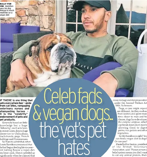  ??  ?? BULLY FOR HIM Hamilton says his dog Roscoe is much healthier on a vegan diet