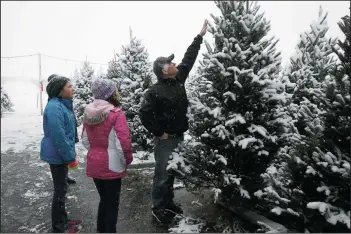  ?? MICHAEL TERCHA/CHICAGO TRIBUNE ?? The Myers family from Naperville shop for a pre-cut Christmas tree on Dec. 4 at Kuipers Family Farm in Maple Park, Ill.