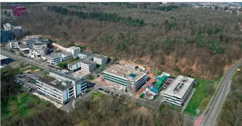  ?? FOTO: BECKERBRED­EL ?? Ein Teil des Waldes oberhalb der jetzigen Gebäude am Stuhlsatze­nhaus muss für den neuen Campus gerodet werden.