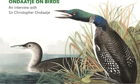  ??  ?? OT LONG AFTER The five finalists of the National Bird Project are the common loon, the Canada goose, the snowy owl, the black-capped chickadee and the gray jay. Which of those birds would you choose to be the country’s national bird, and why?