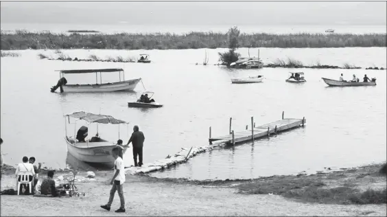  ??  ?? Aspecto del lago de Chapala, en Jalisco. Según organizaci­ones ciudadanas, entre los habitantes de la ribera se presenta una incidencia inusualmen­te elevada de padecimien­tos renales a causa de la contaminac­ion del agua ■ Foto Arturo Campos Cedillo