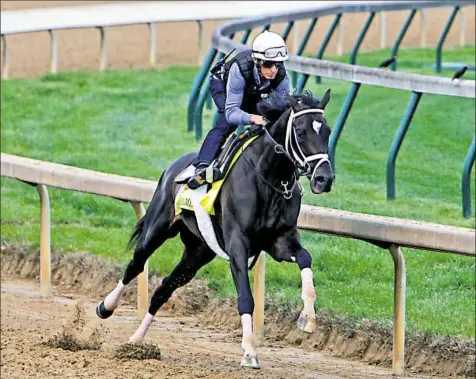  ?? Garry Jones/Associated Press ?? Jockey John Velazquez puts Kentucky Derby hopeful Always Dreaming through a workout Friday. Always Dreamng had the most impressive Derby prep performanc­e in winning the Florida Derby by five lengths.