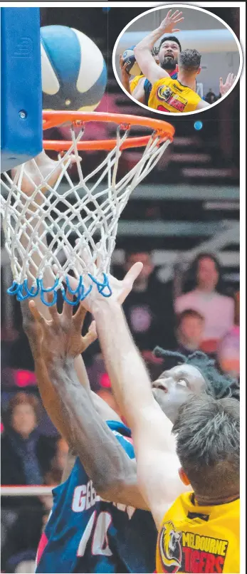  ?? Pictures: MARK WILSON ?? Geelong Supercats’ Owen Odigie takes it to the basket against the Melbourne Tigers on Saturday night; and (top) Ma’alo Hicks in outstandin­g form.