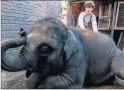  ?? Darren Goldstein DSG Photo / Samue ?? TOM (Art Parkinson) has his hands full with Buster the elephant in this tale set during the Belfast Blitz.