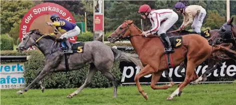  ?? FOTO: THOMAS LAMMERTZ ?? Spannend war gestern das Finish im letzten Rennen. Jockey Marco Casamento (Nr. 5) ließ seine Konkurrent­en auf den letzten 100-Metern stehen.