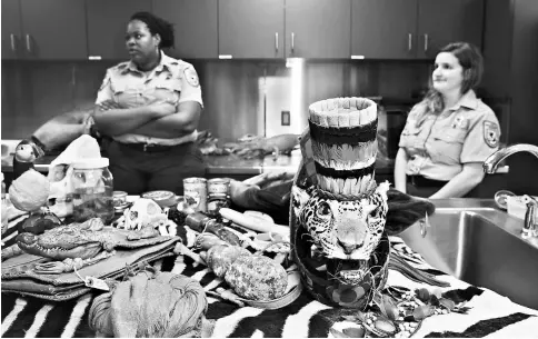  ??  ?? US Fish and Wildlife Service inspector Aziz, left, and Greenwood search luggage and mail for animals that are protected or arrive in the United States without proper permits. The agency fills a room at its New York office near John F. Kennedy...