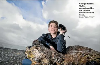  ?? ROSS GIBLIN/STUFF ?? George Hobson, 16, has campaigned for the banded dotterel for five years.