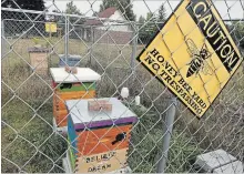  ?? CLIFFORD SKARSTEDT EXAMINER ?? Honey bees are protected behind Greenwood United Church, which has been designated as the first Bee City faith community in Canada.