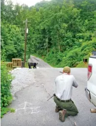  ??  ?? A Great Smoky Mountains National Park ranger prepares to tranquiliz­e a black bear. The bear will be fitted with a GPSequippe­d radio collar to help track its movements as part of a University of Tennessee study of bears’ roaming patterns.