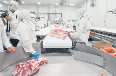  ??  ?? APROBADA. Las procesador­as de carne en el Estado cumplen con certificac­iones de calidad sanitaria.