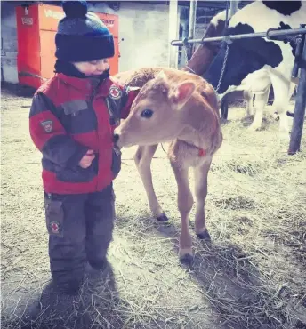  ??  ?? Émile, le fils d’Olivier Ruel et Marilyne Beaupré, de Saint-Charles-de-Bellechass­e, a décidé lui aussi de célébrer le Jour de l’agricultur­e canadienne.