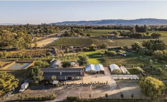  ?? AERIAL CANVAS ?? Above: This Wine Country compound occupies six acres and features a four-bedroom, three-and-a-half-bathroom residence and every additional amenity you could want. Right: The Sonoma estate includes a vineyard.