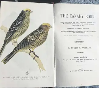  ?? ?? The Canary Book, by Robert L Wallace is beautifull­y illustrate­d