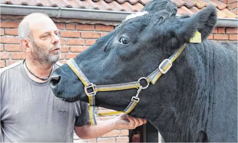  ?? FOTOS: DPA ?? Besitzer Freddy Janssen und Kuh Kelly: ein Herz und eine Seele.