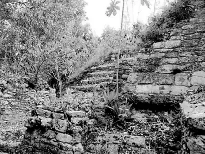 ?? CORTESÍA ?? Esta ciudad
maya se sumará al corredor arqueológi­co del sur de Quintana Roo/