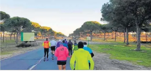  ?? M.G. ?? El grupo de corredores por la zona en la que adelantaro­n al joven desapareci­do de Bonares.