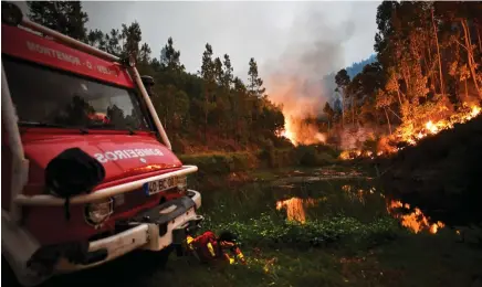  ?? PATRICIA DE MELO MOREIRA|AFP ?? Investigad­ores concluíram que o incêndio terá sido causado por um raio após terem encontrado uma árvore durante uma tempestade seca