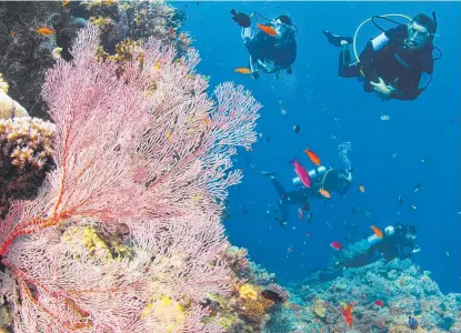  ?? SUPERB: Ribbon Reefs in full colour this month. Picture: TOURISM QUEENSLAND ??