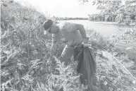  ??  ?? Kent Ritter, an environmen­tal analyst with Connecticu­t Valley Hospital, picks up trash on the banks of the Connecticu­t River during the 19th annual Connecticu­t River Watershed Council Source to Sea Cleanup.