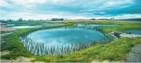  ?? ?? The newly constructe­d wetland on Baygold land at the intersecti­on of Maniatutu Rd and State Highway 2 between Paengaroa and Pongakawa.