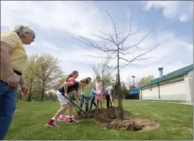  ?? JONATHAN TRESSLER — THE NEWS-HERALD ?? Longtime Keep Wickliffe Beautiful volunteer and former Wickliffe librarian Barbara Powell looks on as a group of local students who won awards in the city’s Arbor Day Poster Contest take turns tossing soil onto one of the freshly planted Pin Oak trees...