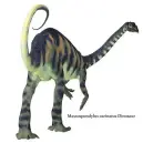  ?? Picture: iStock ?? MASSOSPOND­YLUS. Lived in SA during the Jurassic period.
