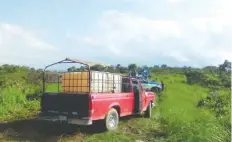  ??  ?? En un camino que conduce de Barrio Nuevo en Matías Romero, a Paso Guayabo, se aseguraron 10 vehículos con alrededor de 16 mil 500 litros de hidrocarbu­ro.