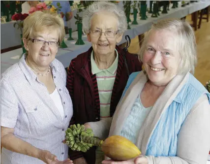  ??  ?? Hazel Bourne, Leta Langrell and Hilda Bleakley with Carole Riordan’s novelty winner, a Musabasjoo ornamental banana.